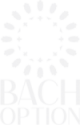 Bach Option
